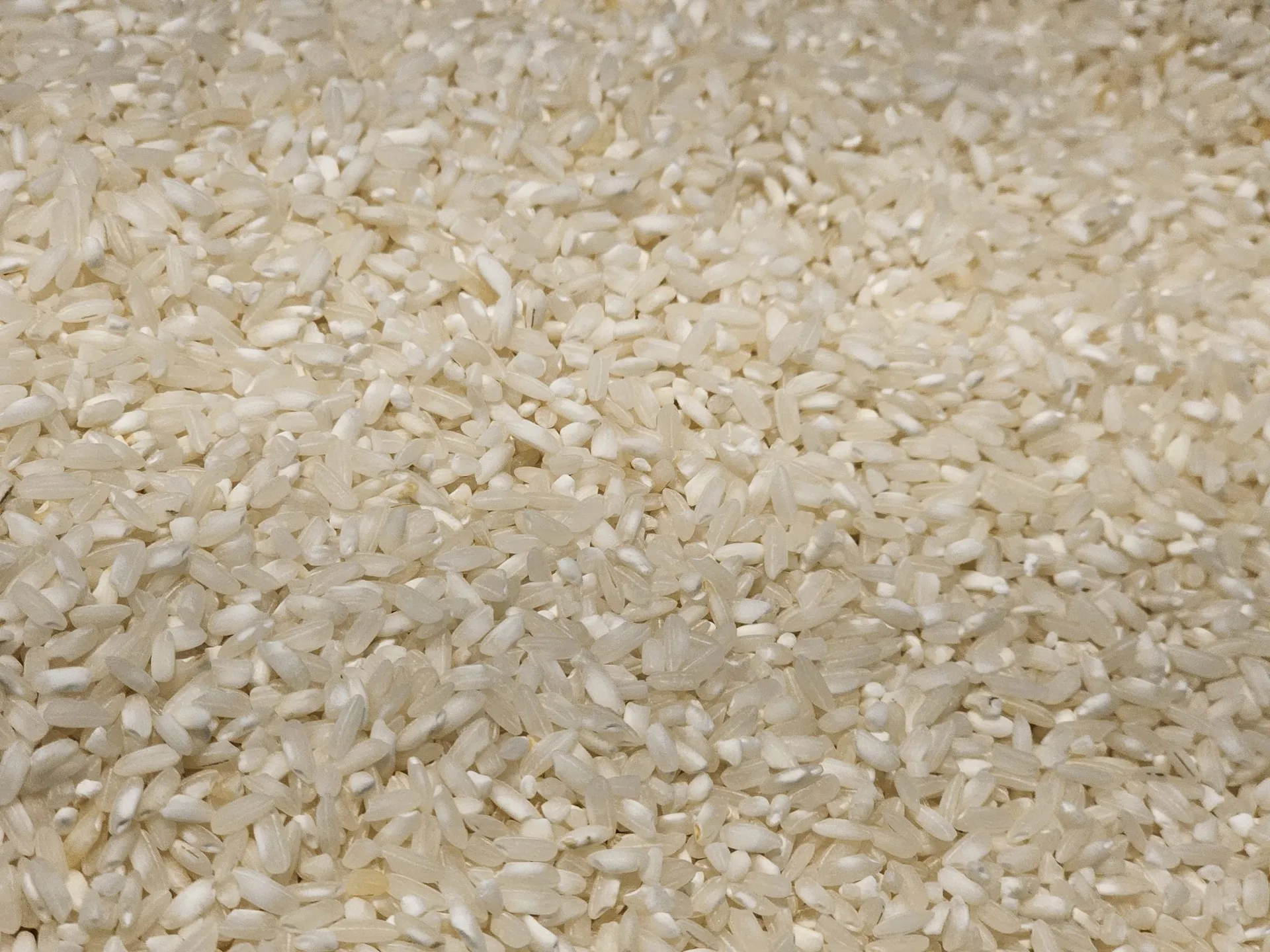 Rice 12Kg