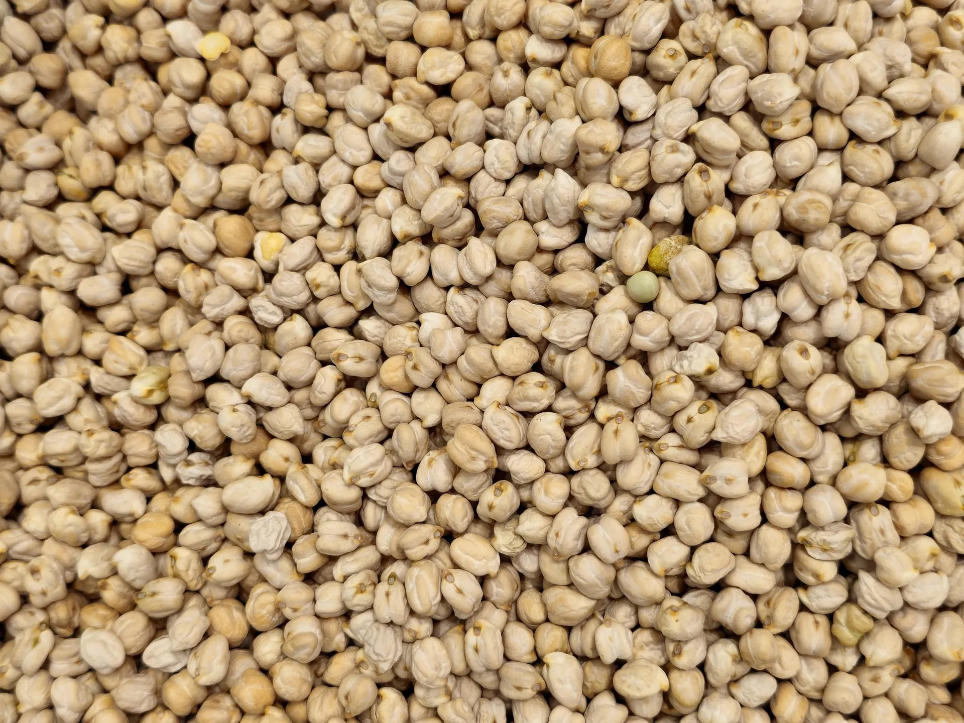 Kabuli Chana 5 Kgs